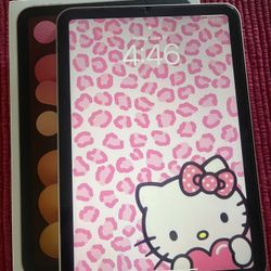 IPad Mini 6 PINK 64 GB