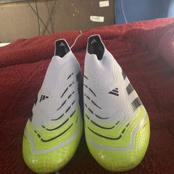 Elite Predators Laceless