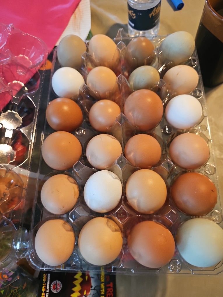 Sale On Eggs 10/26 - 10/29