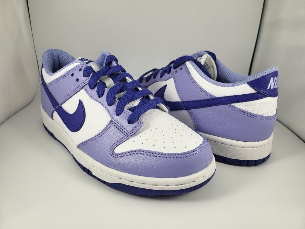 Nike Dunk 'Blueberry'