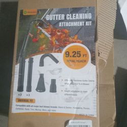 Gutter Cleaning 