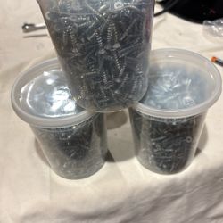  1 Inch Box Head Wood Screws  10 Lbs 