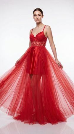 Luxury Royal Red Lingerie Set – 2 Looks in 1 – Satin & Tulle Train – Size Large – Bra 38D – New with Tags
