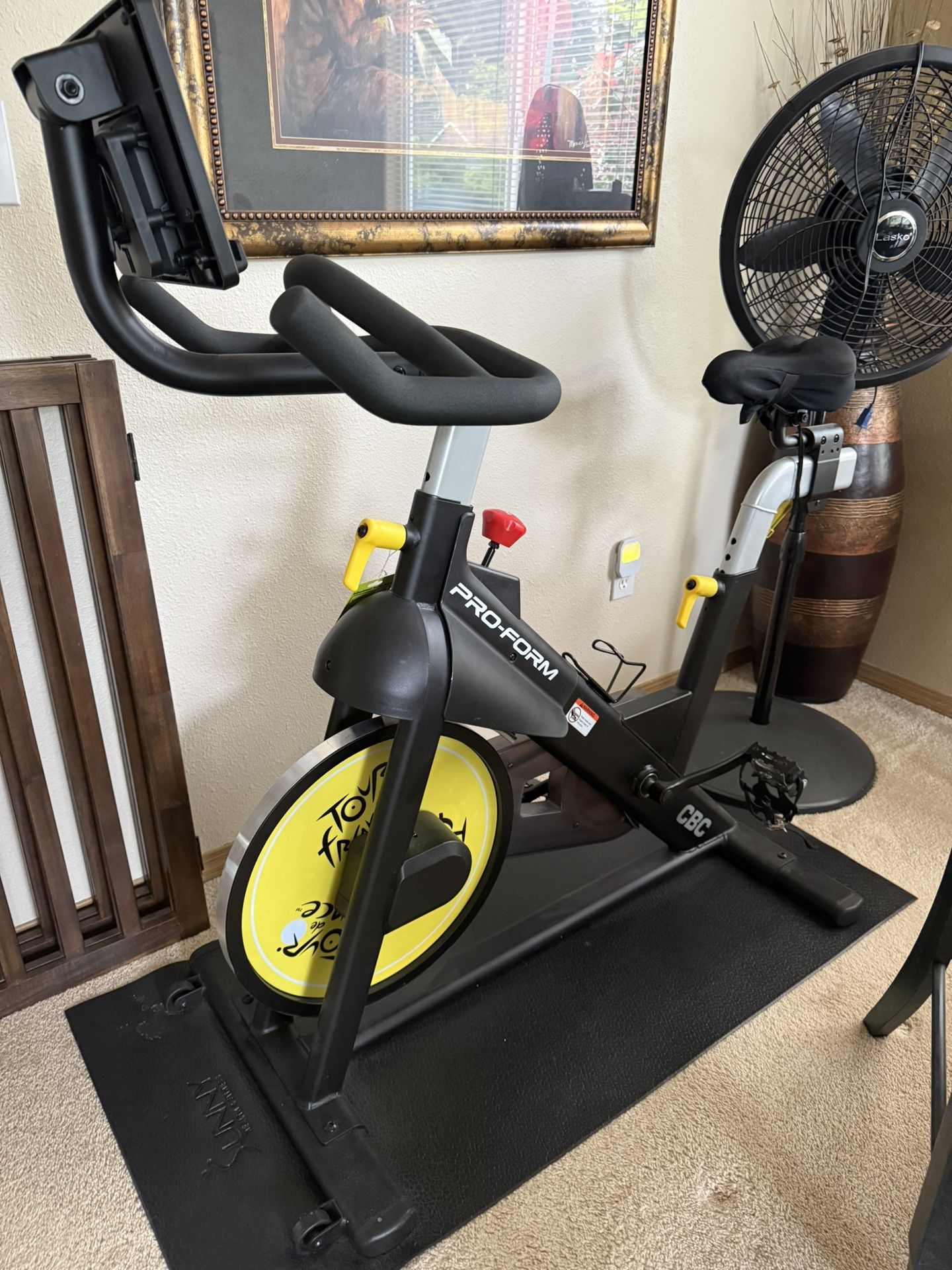 Pro Form Tour De France Exercise Bike