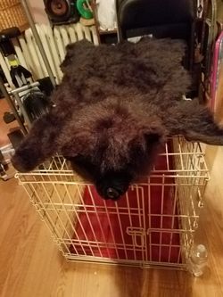 JAULA PARA MASCOTAS GRANDE