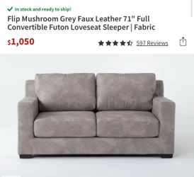 Queen pull out couch
