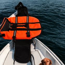 Dog Life Vest 