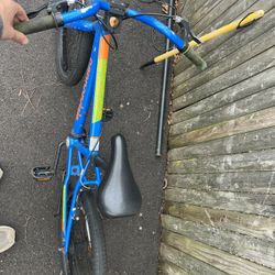 Cannondale Kids Bike