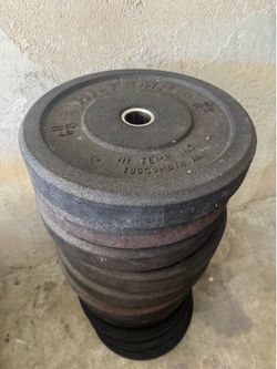 35 lb Rubber Bumper Plates – Commercial Quality