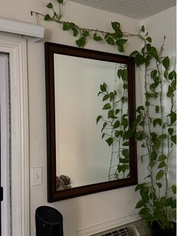 Wooden frame mirror