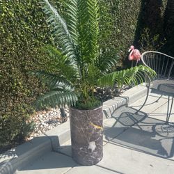 Vase With Artificial Plant