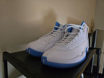 Air jordan 12