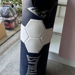 Everlast Punching Bag