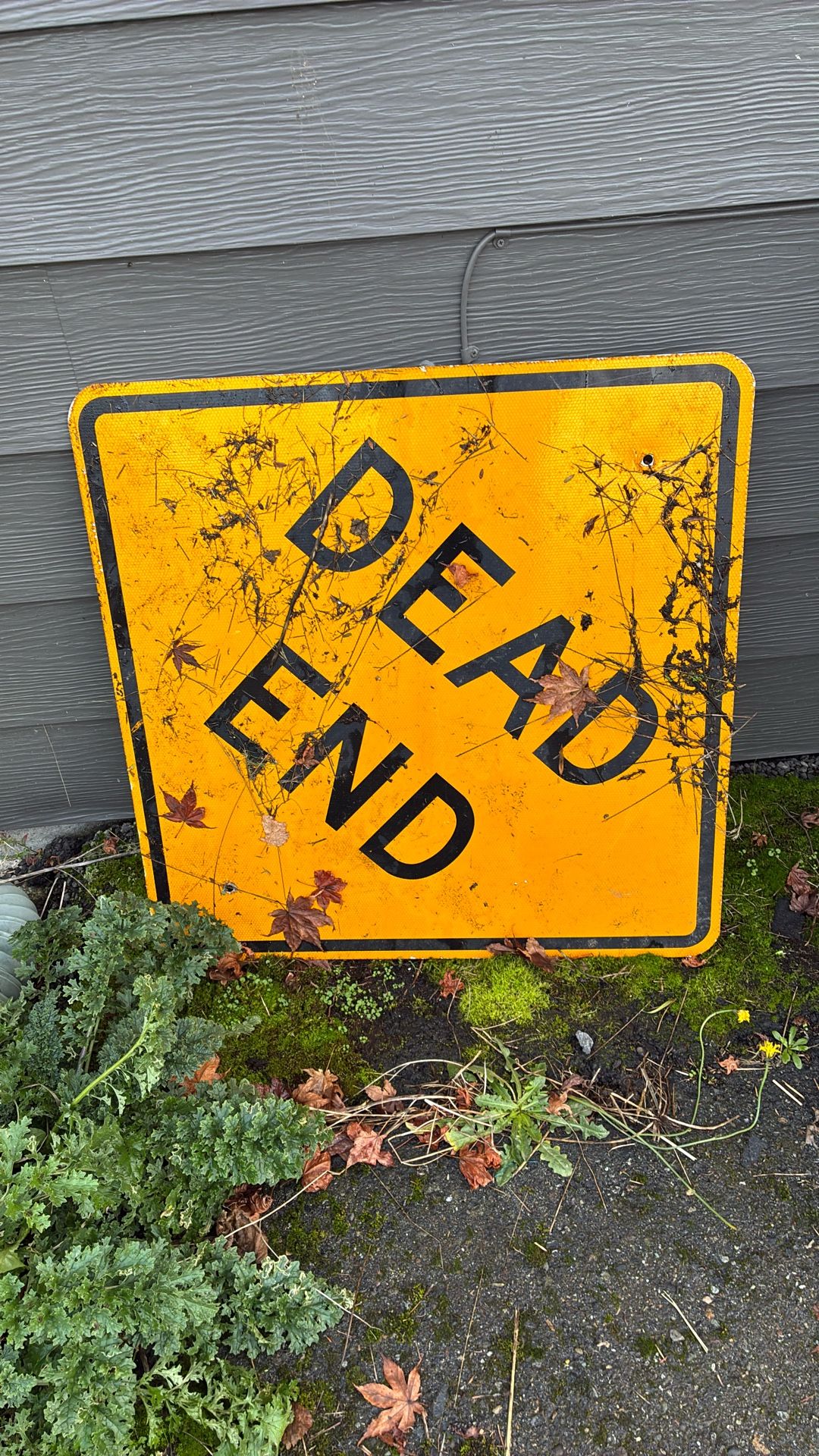 Dead End Sign 