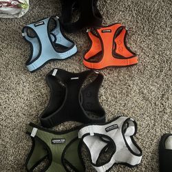 Dog Harnesses 