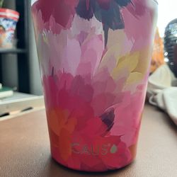 CAUS Stainless Steel Double Wall Insulated 12 Ounce Tumblr