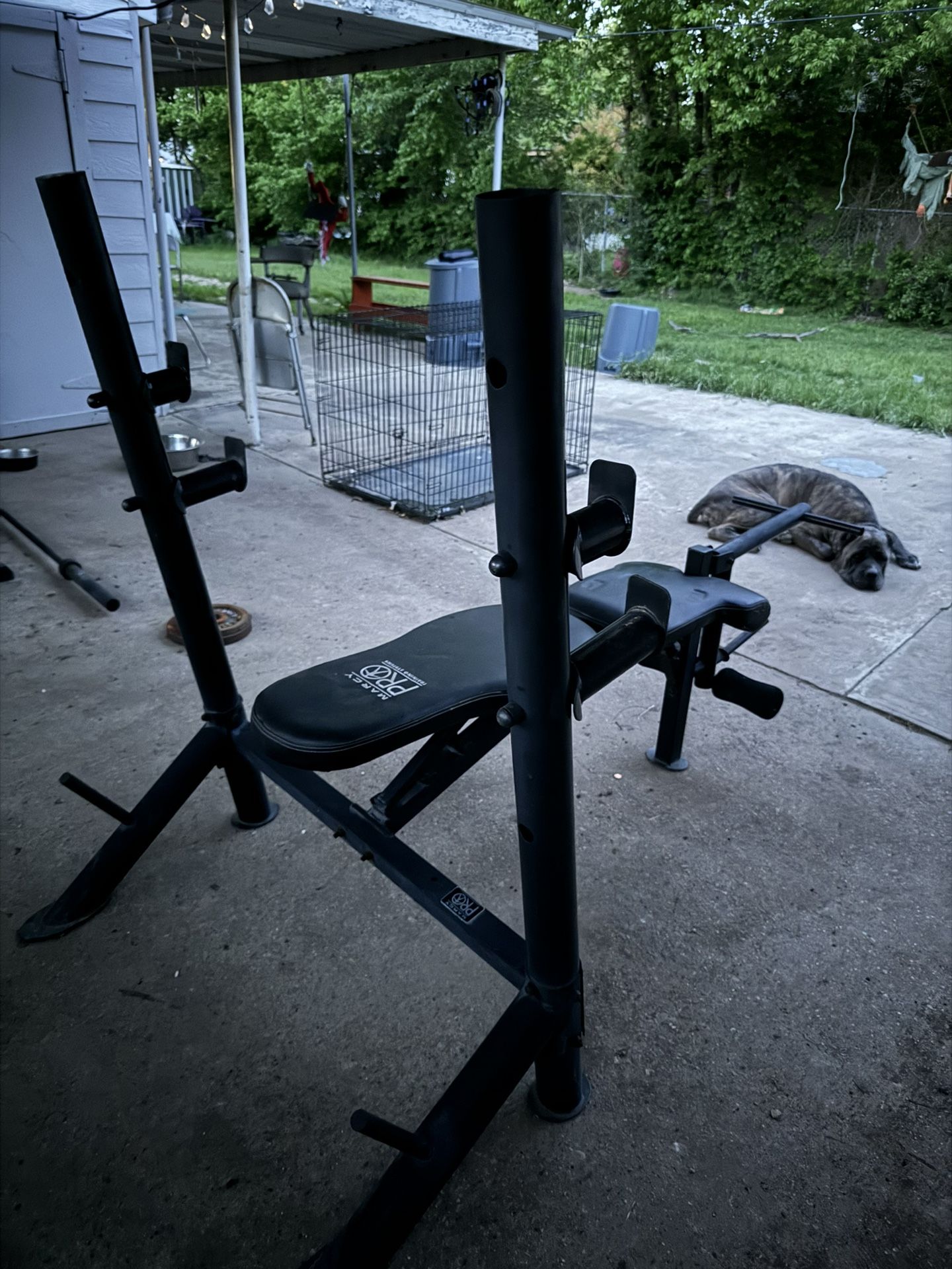 Adjustable Bench With Leg Curl , And EZ Bar With. X2 22 Pound Weights 