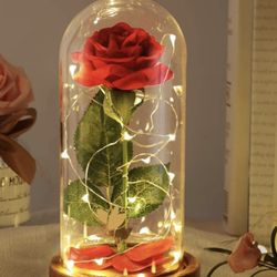 Belle Flower With Real Rose