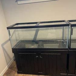 90 G Aquarium w/ stand $250