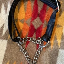 New Martingale Dog Collar