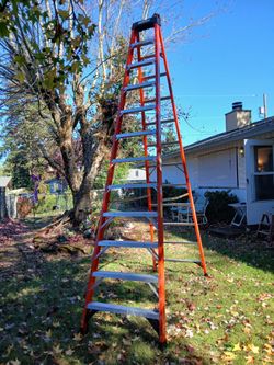 12 ft Werner Fiberglass Step Ladder (300 lb Capacity, Type IA) - Great Condition