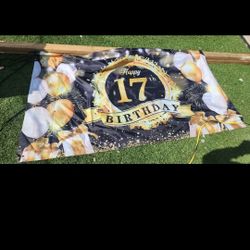 17th Birthday Banner 