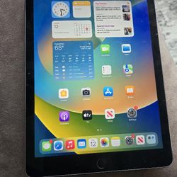 Ipad Pro 9.7inch 256gb W/cellular 