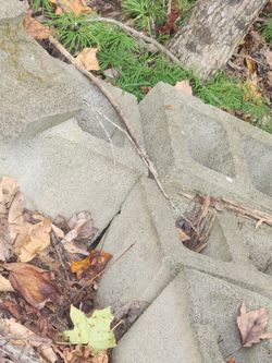 Bricks An Thick Stepping Stones