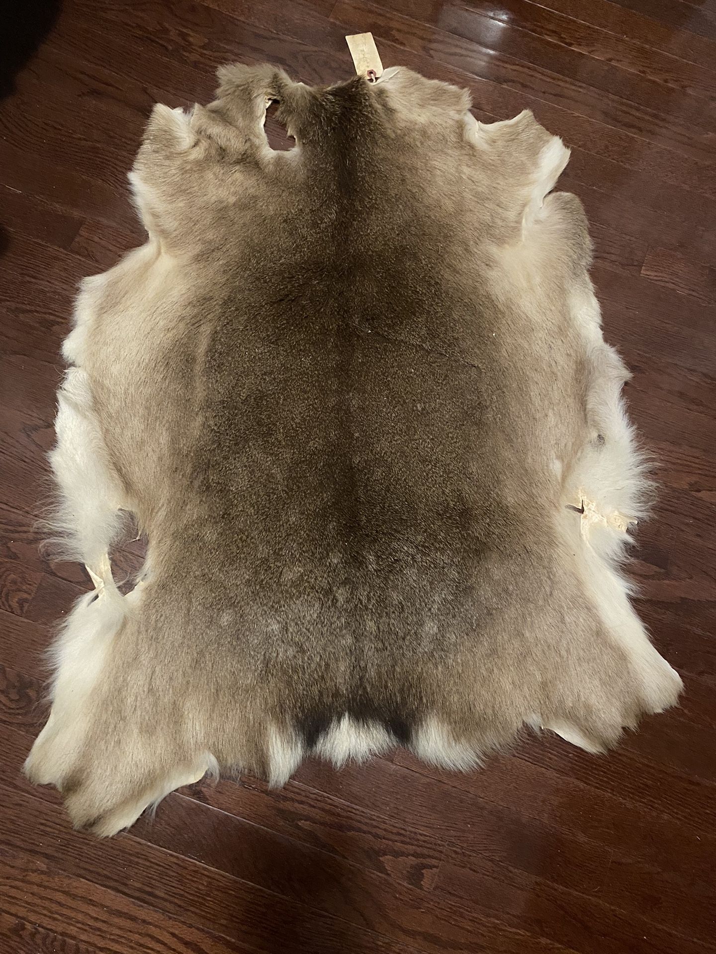 Deer Hide