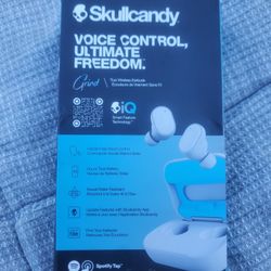 Skullcandy Earphones 