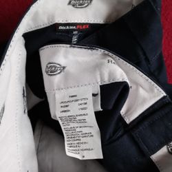 Dickies Short