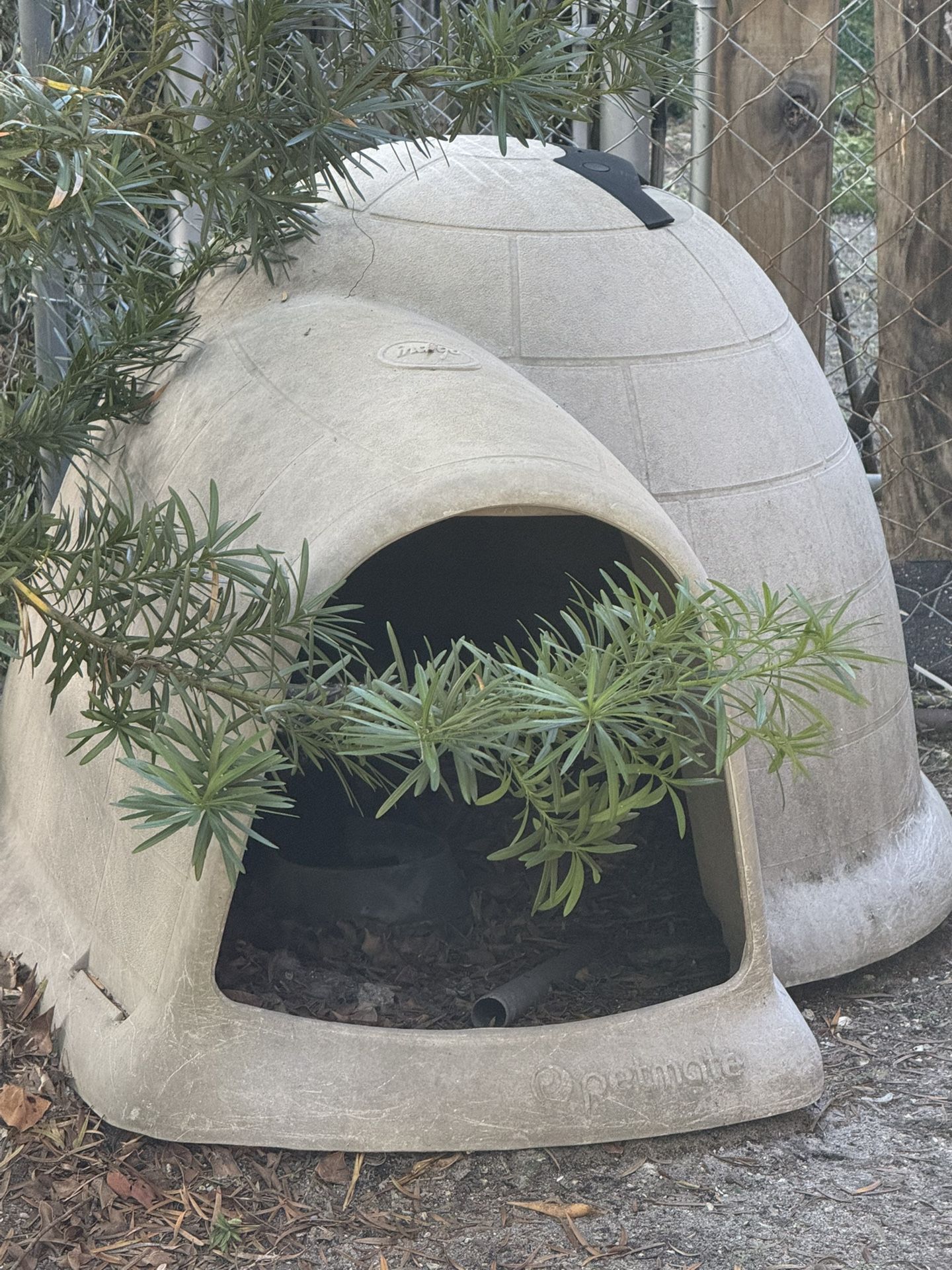 Igloo Dog House