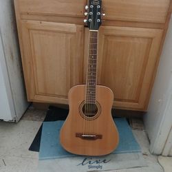 Guitar