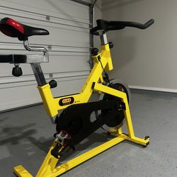 Spinning Bike (ELKO TECH) 