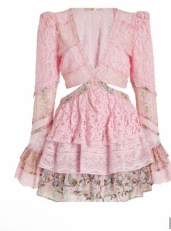 Loveshake Fancy pink, crop back layered mini lace embroidered dress