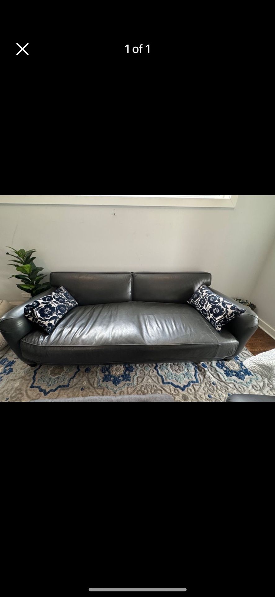 Free Sofa In My Alley