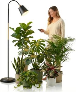 Floor Lamp Grow Lights for Indoor Plants, Adjustable Height Tall Standing Plant Light with Remote & Timer