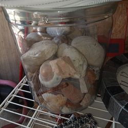 Vase Heavy Rock And Seashells 