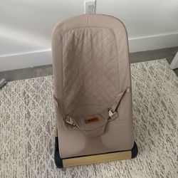 Baby Bouncer 
