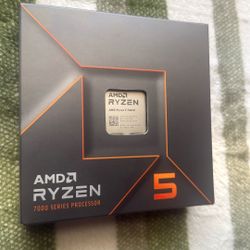 AMD Ryzen 5 7600X 6 Core With RADEON GRAPHICS