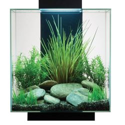 Fluval 14 Gallon Aquarium + Stand + Extras