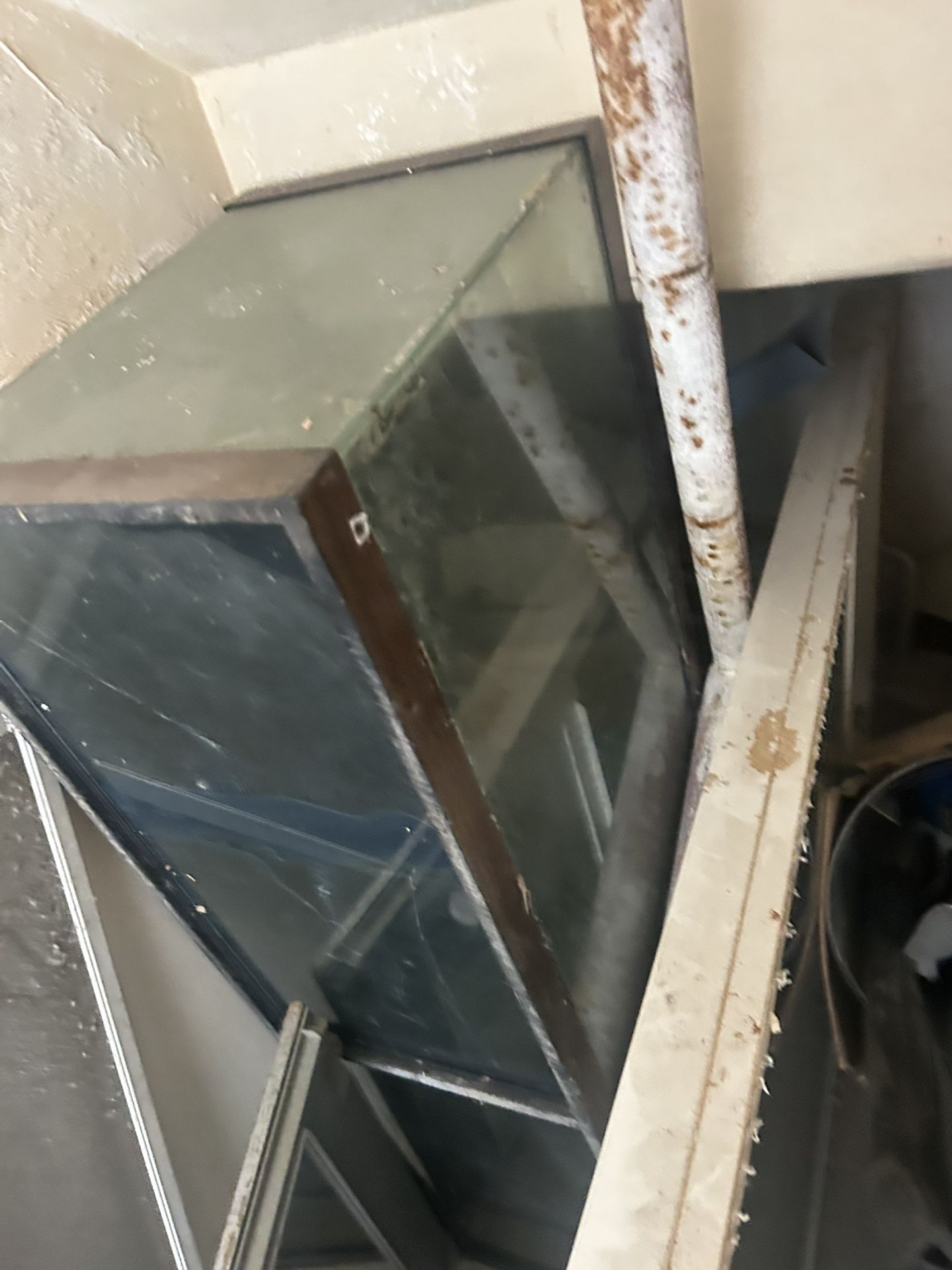 Pending Just Recvd A Huge Fish Tank