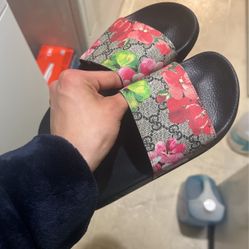 Gucci Slides 