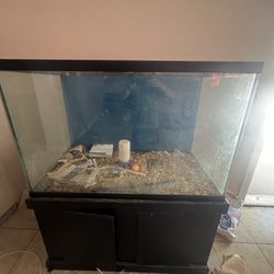 large fish tank good condition size inch 4ft high 29” deep 2 ft pic up only 