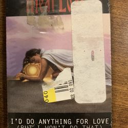 Meat Loaf, “I'd Do Anything for Love. But I won’t do that”