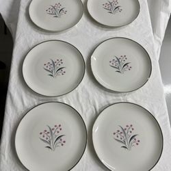 Vintage Princess China Flair Tru-Tone Set of 21- Dinner Plates-Creamer-Sugar-Cups-Saucer