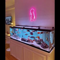 125 Fish Tank And Stand