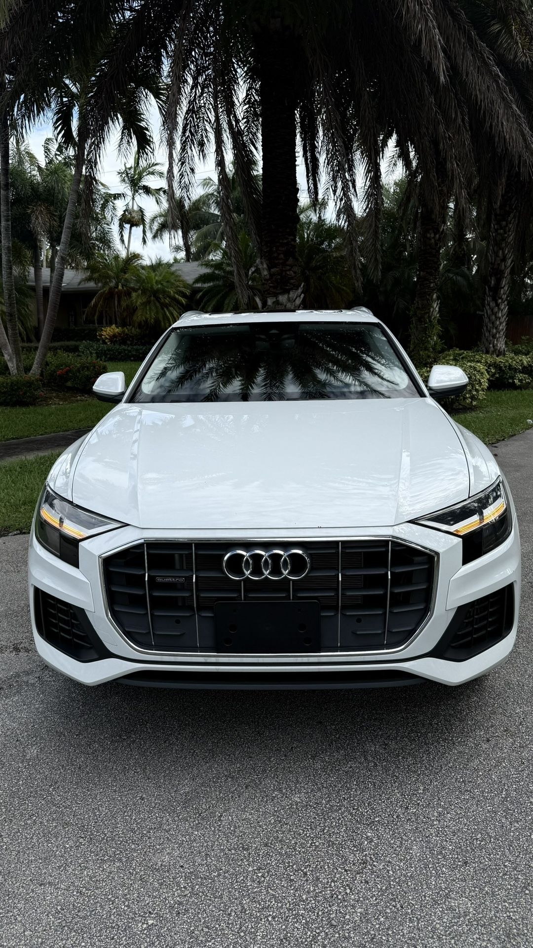 2019 Audi Q8