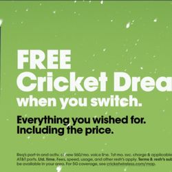 Cricket dream FREE