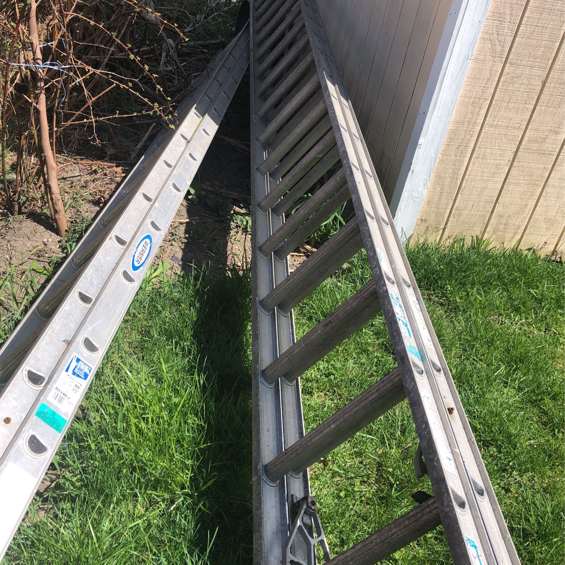 40 Foot Ladders